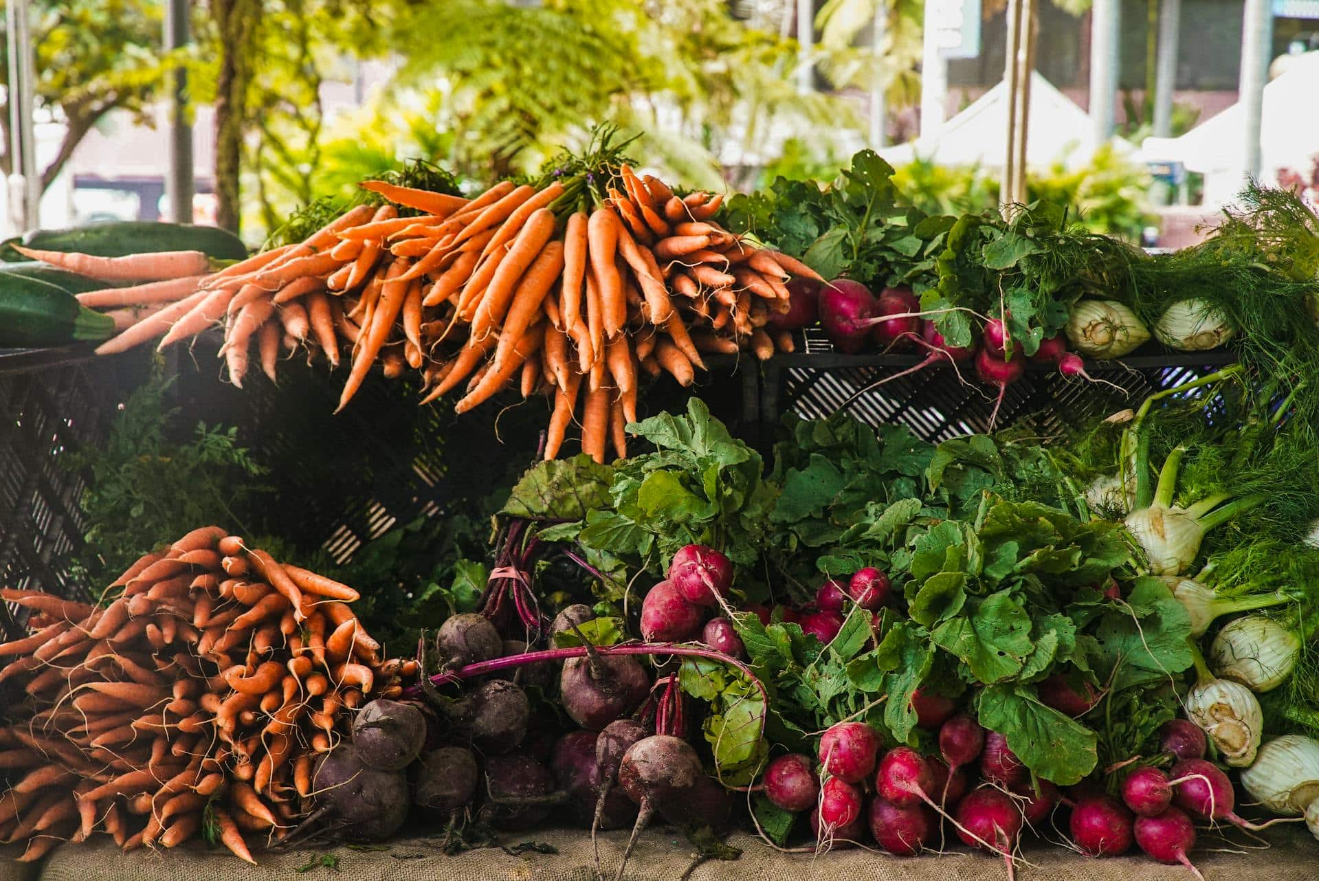 Haisla Food Security Pilot Project