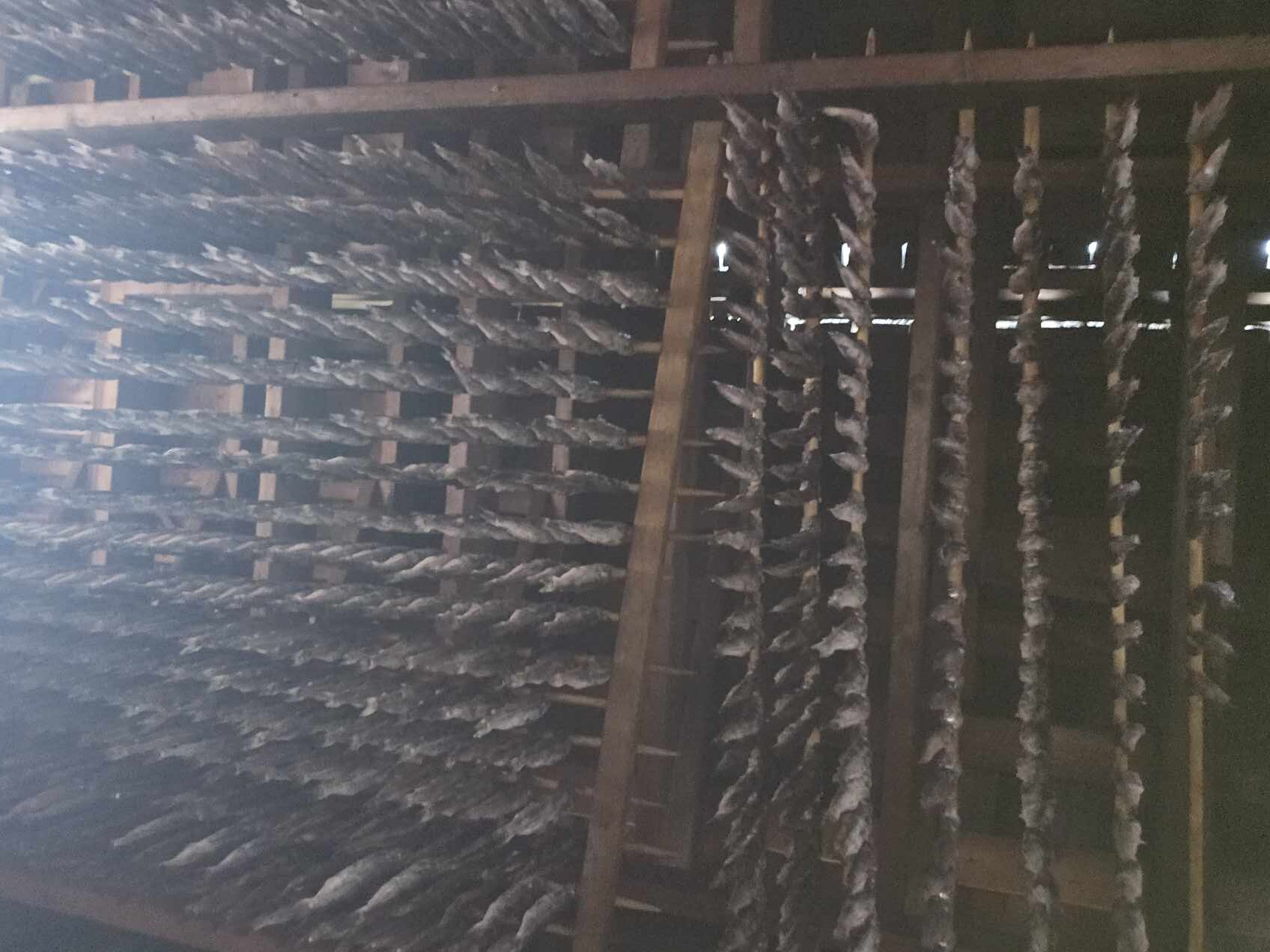 Smokehouse Fires During Wildfire Season